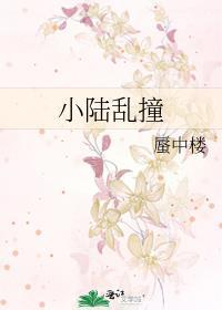 小路乱撞歌词